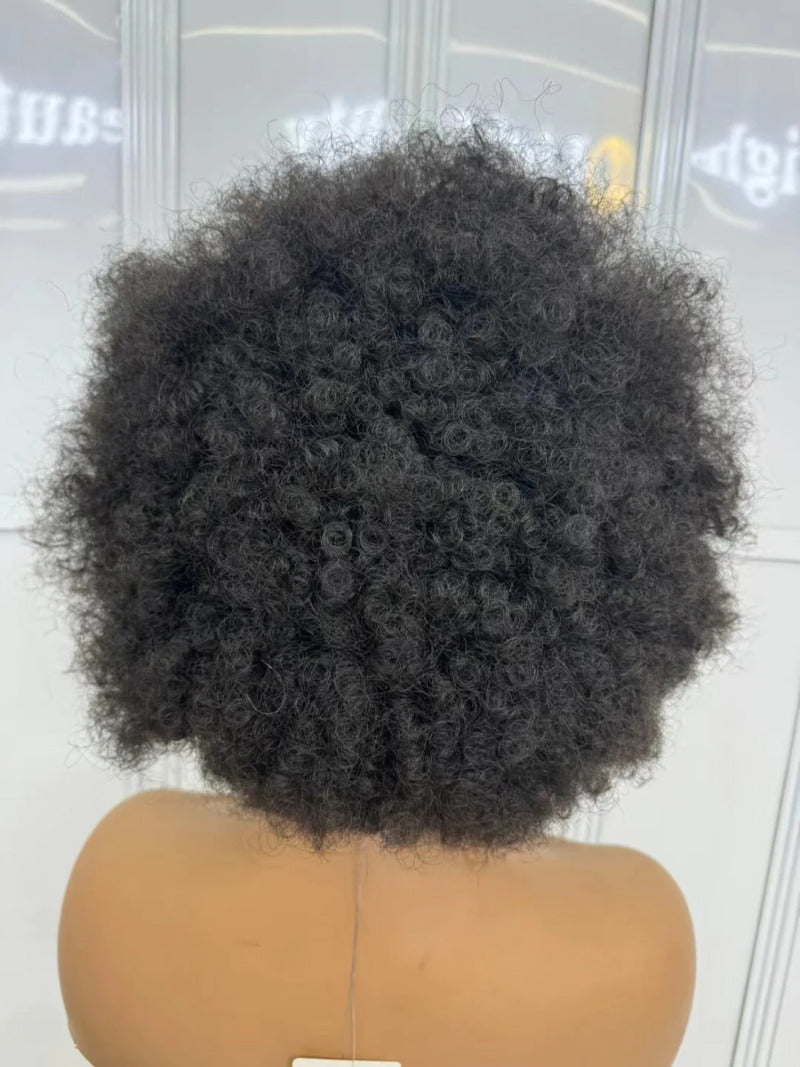 Synthetic Lace Front Braided Wig Short Curly Braided Wigs for Black Women Kontless Box Braiding Wigs Afro Kinky Curly Hair Wig